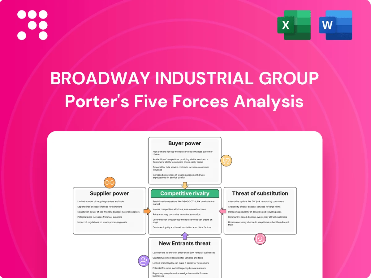 Broadway Industrial Group Porter's Five Forces Analysis