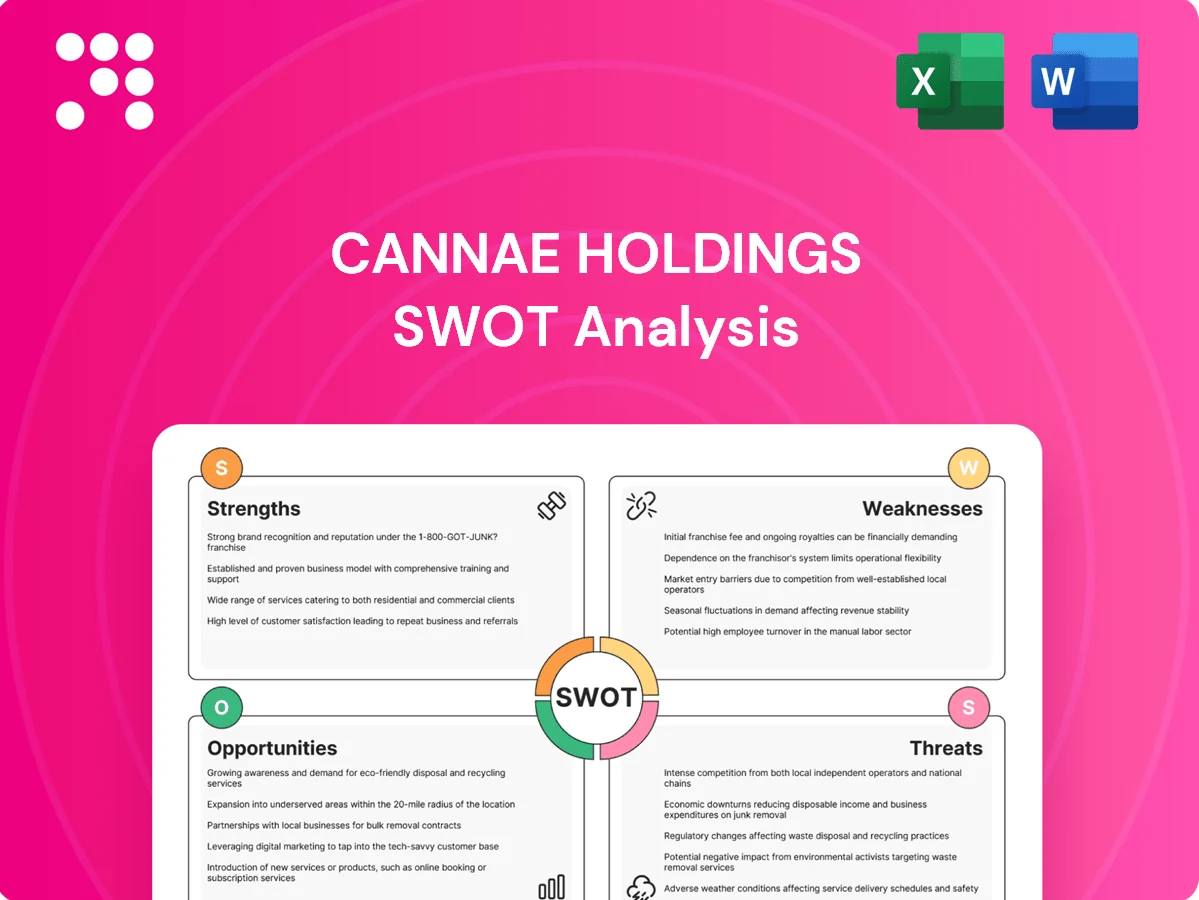 Cannae Holdings SWOT Analysis