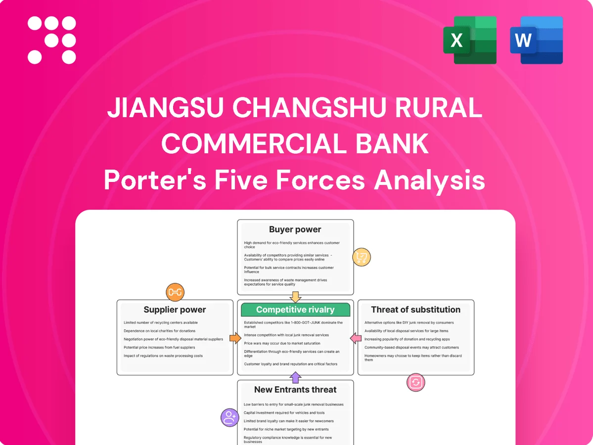 Jiangsu Changshu Rural Commercial Bank Porter's Five Forces Analysis