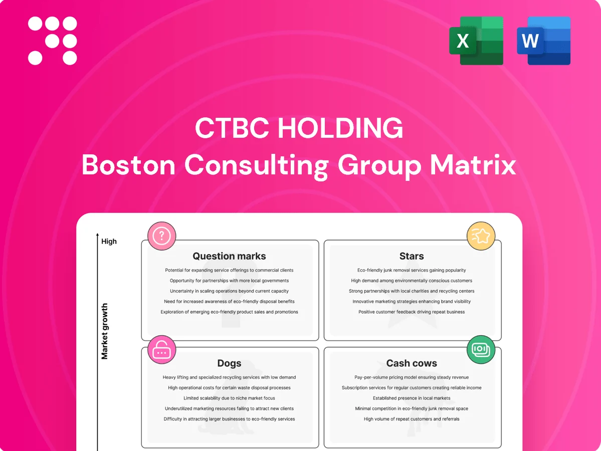 CTBC Holding Boston Consulting Group Matrix