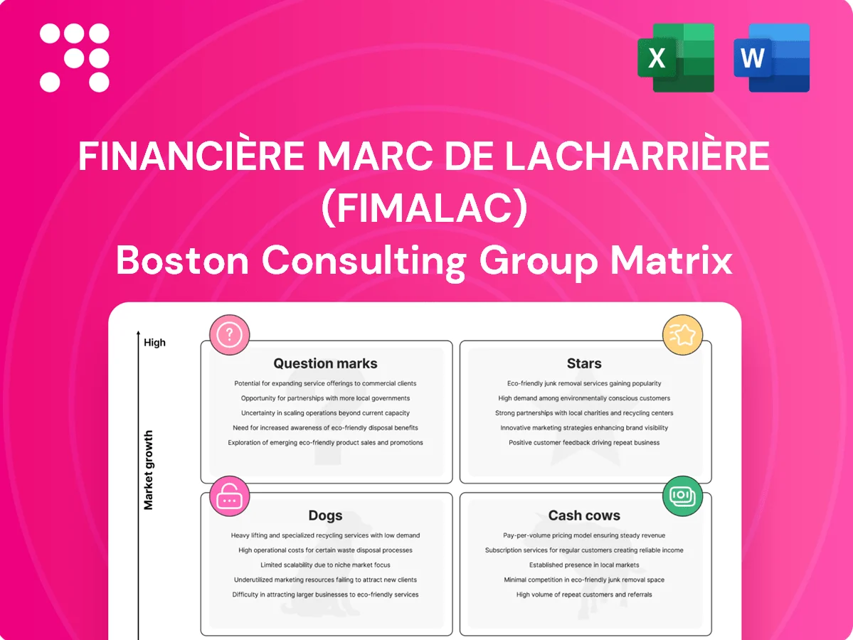 Financière Marc de Lacharrière (Fimalac) Boston Consulting Group Matrix