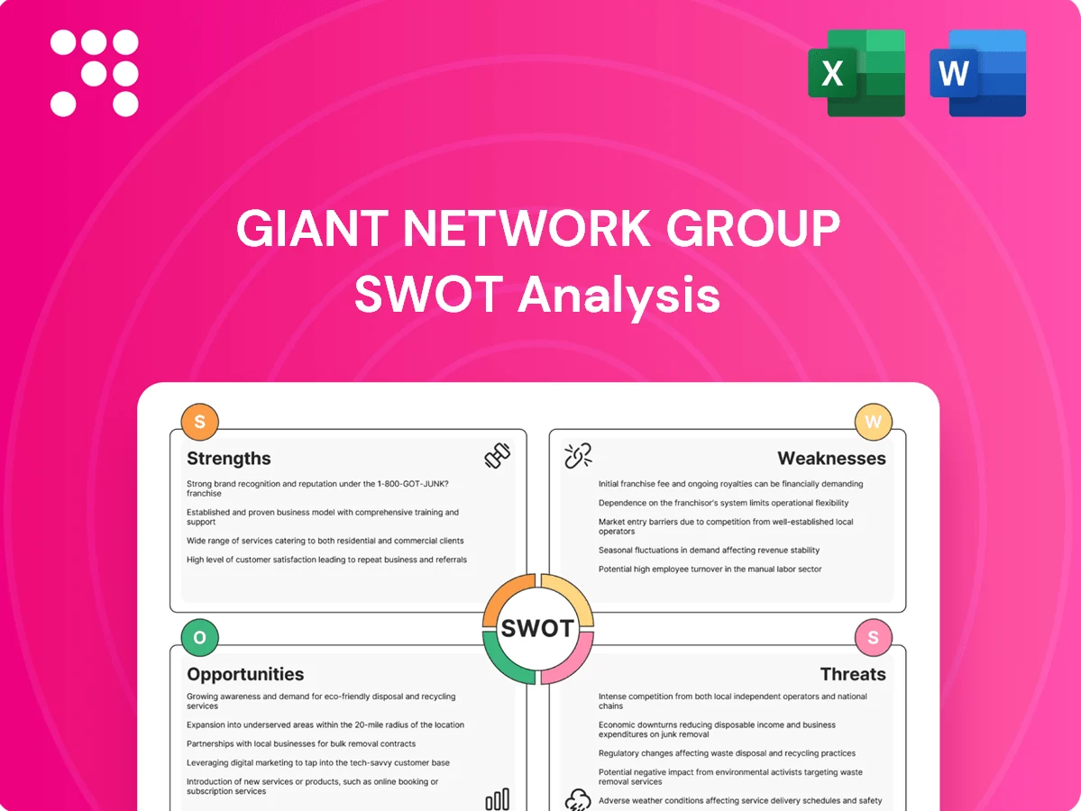Giant Network Group SWOT Analysis