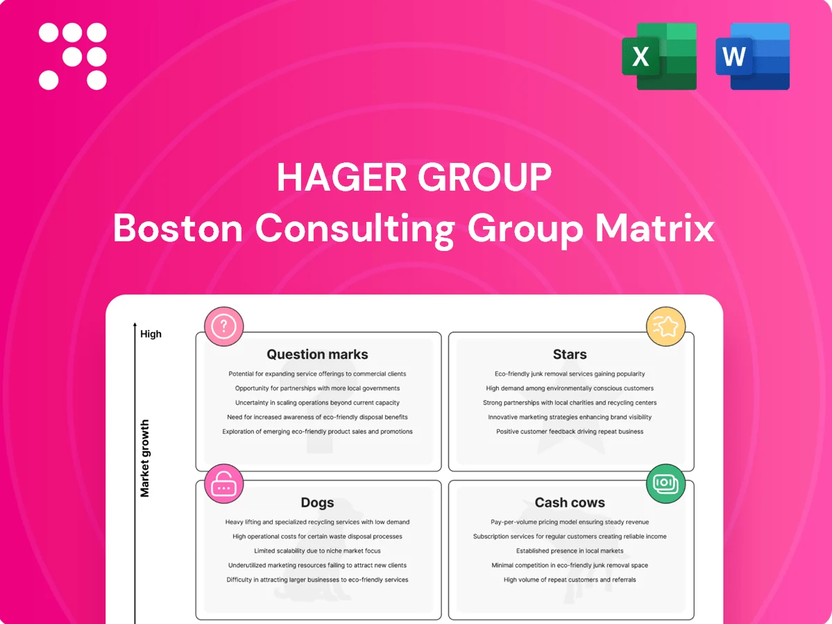 Hager Group Boston Consulting Group Matrix