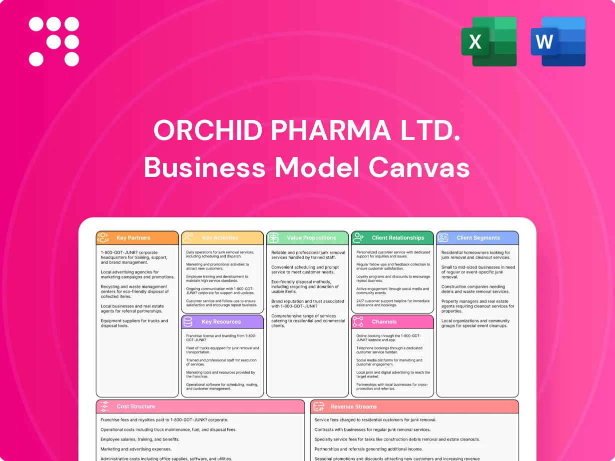 Orchid Pharma Ltd. Business Model Canvas