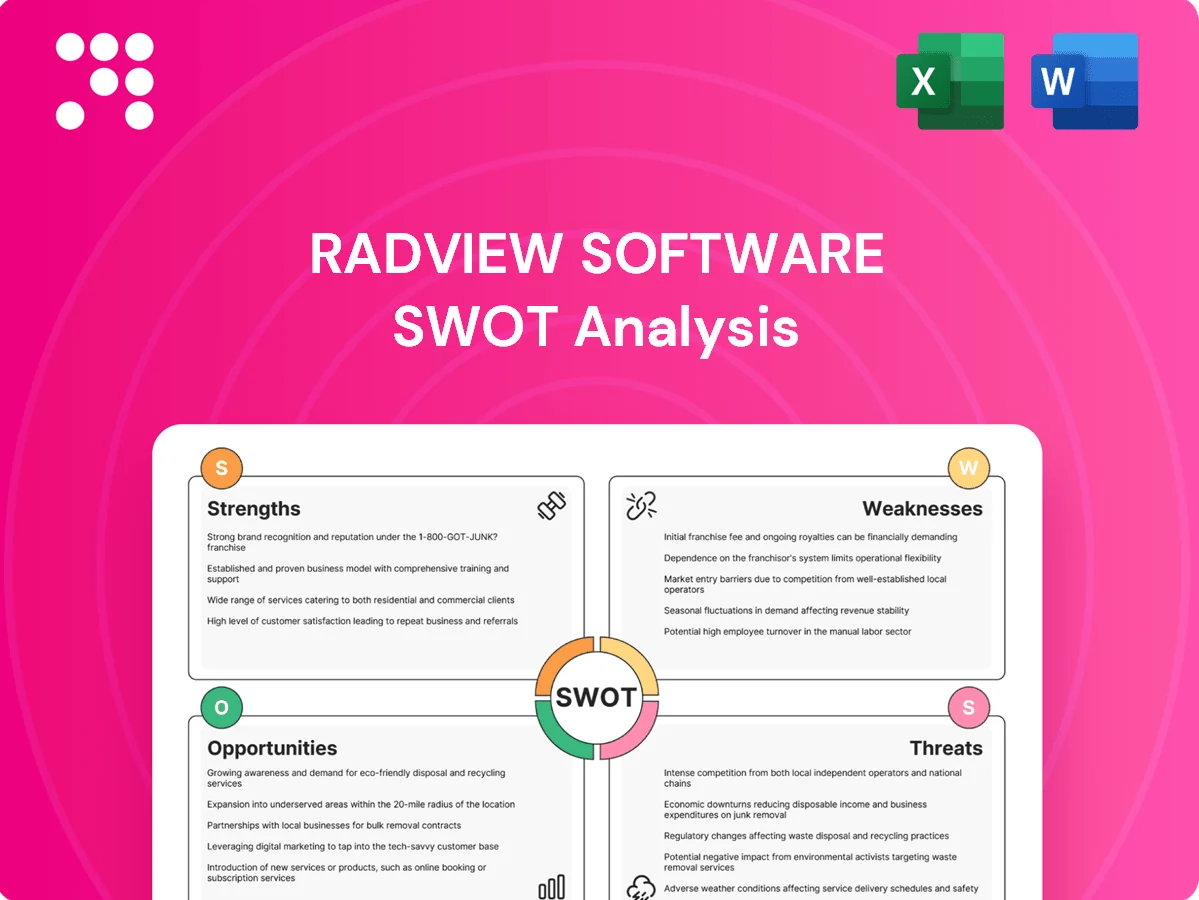 RadView Software SWOT Analysis