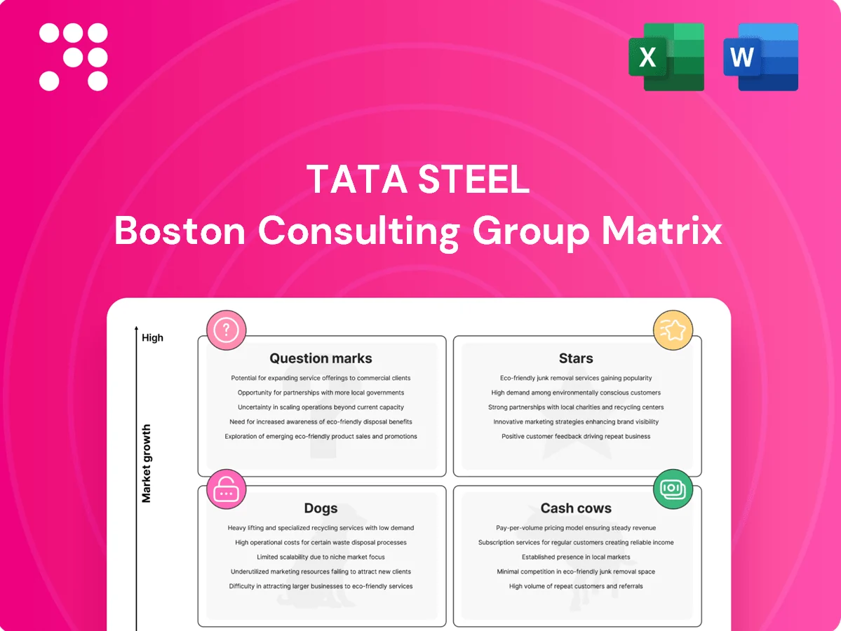 Tata Steel Boston Consulting Group Matrix
