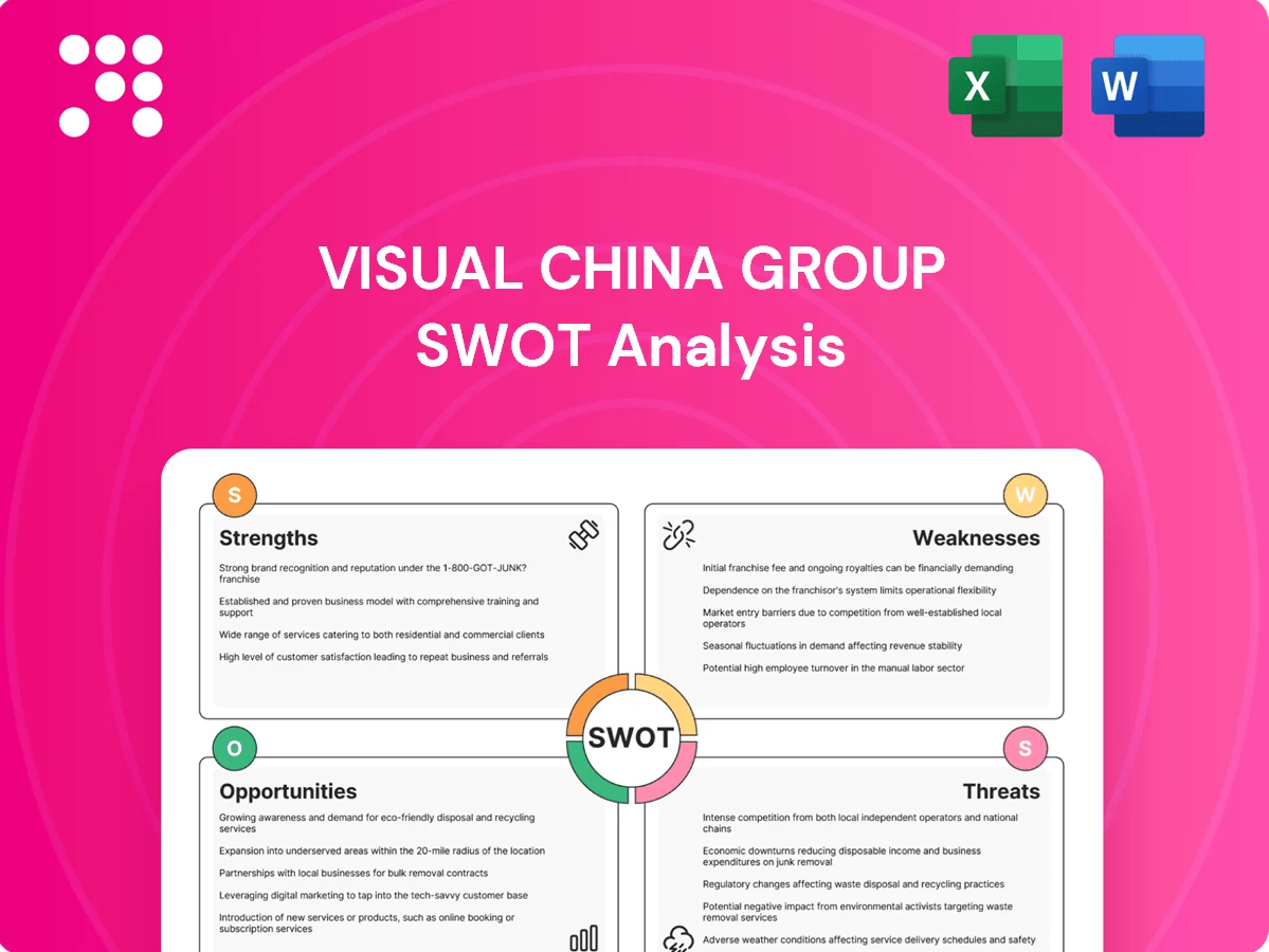 Visual China Group SWOT Analysis