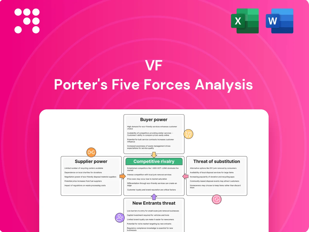 VF Porter's Five Forces Analysis