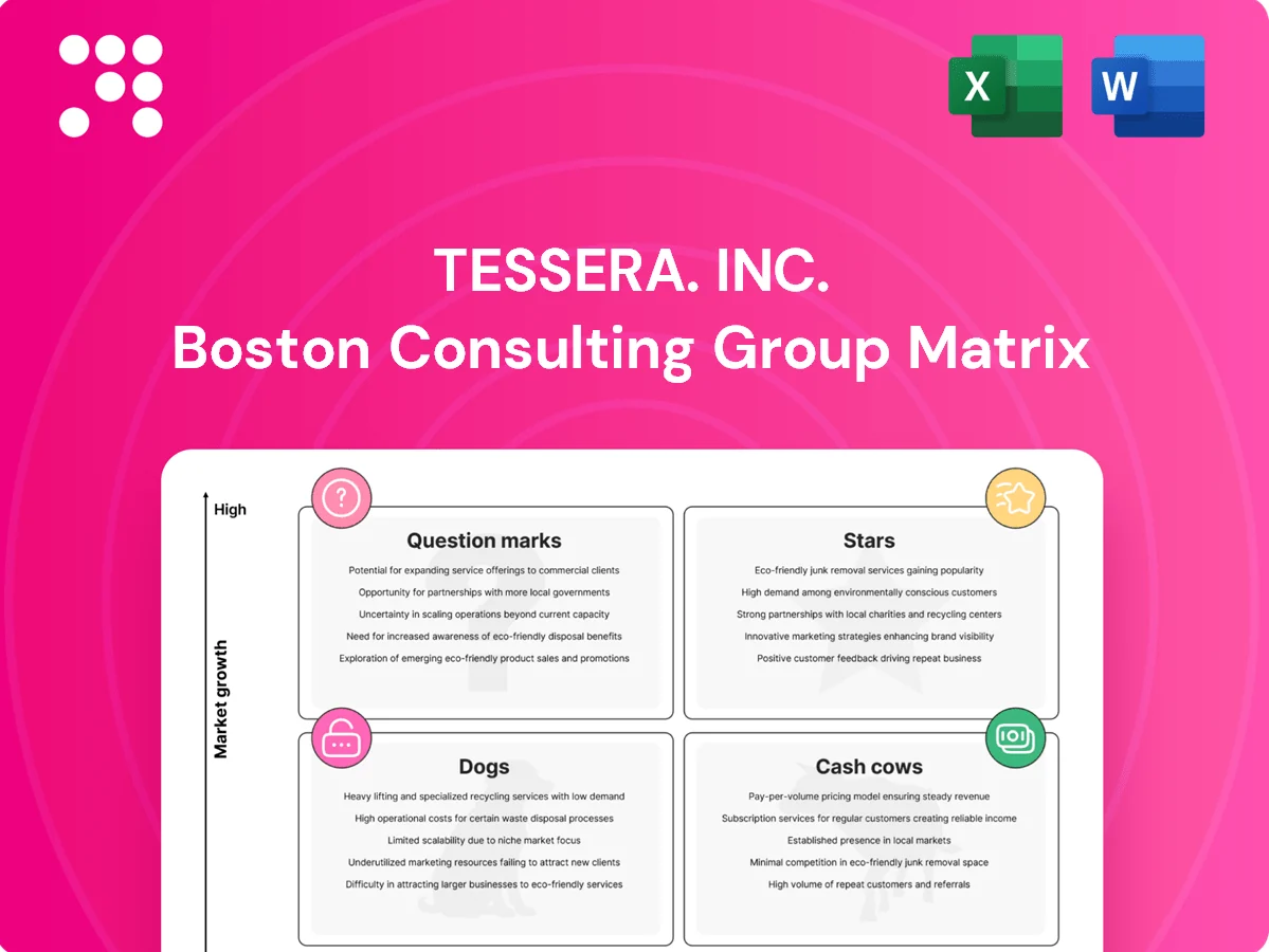 Tessera. Inc. Boston Consulting Group Matrix